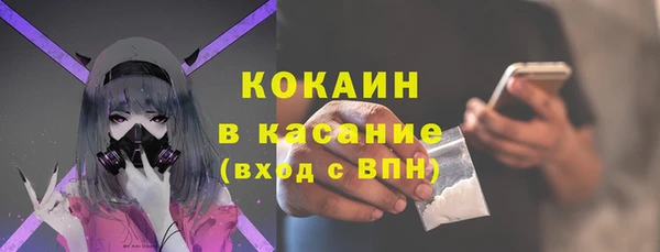 соль ск Алексин